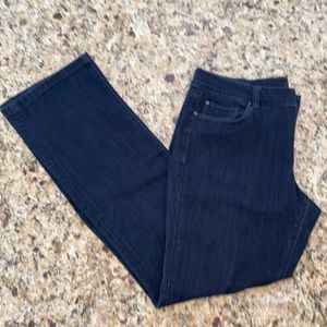 Ann Taylor The Boot Modern Fit Jeans 10 P